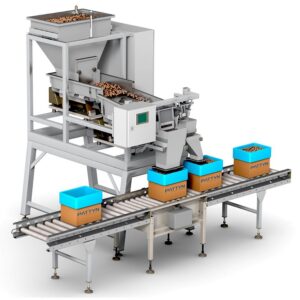 Linear vibratory weigh filler LVF-34A-D